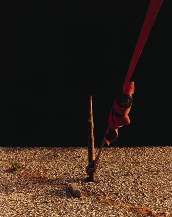 Trevor Appleson, Weed Line, 2006