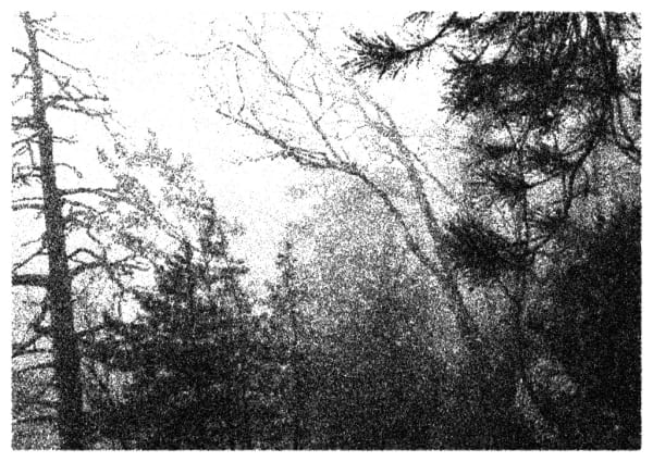 Nikolas Theilgaard, Winterberg 1, 2008