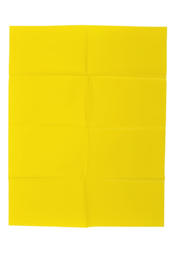 Marie-Jeanne Hoffner, Carbone (Yellow), 2010