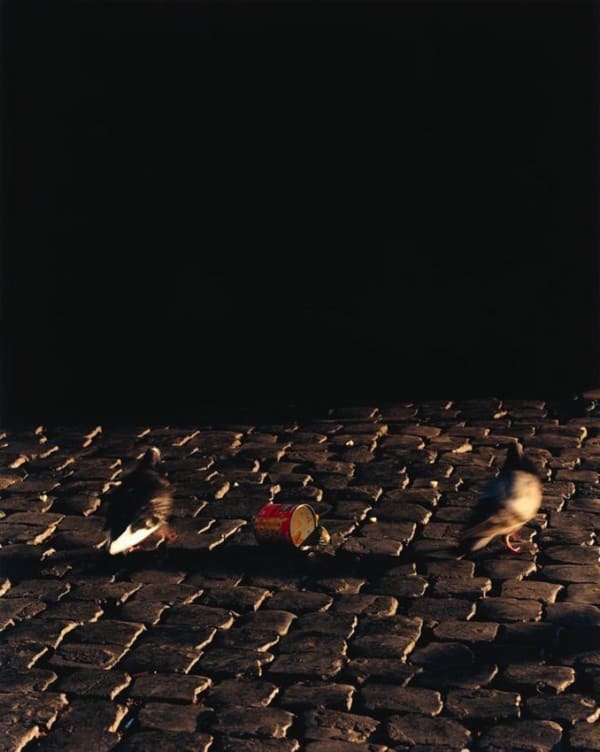 Trevor Appleson, Sweetcorn, 2006