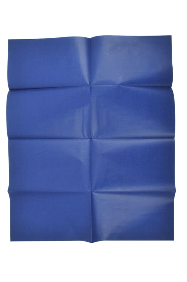 Marie-Jeanne Hoffner, Carbone (Blue), 2010