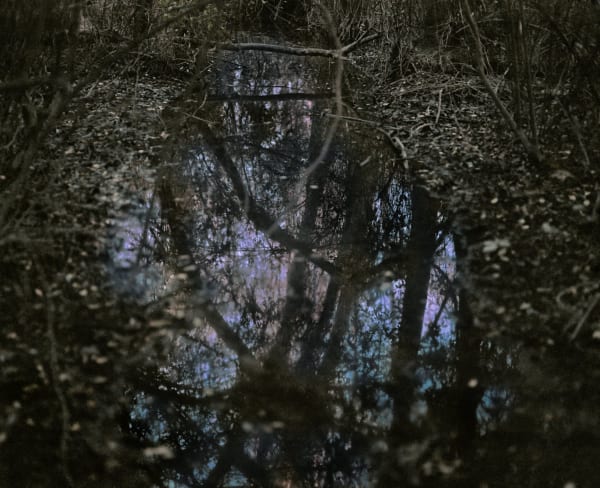 Ignacio Iasparra, Untitled, 2009