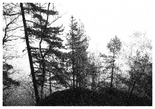 Nikolas Theilgaard, Winterberg 2, 2008