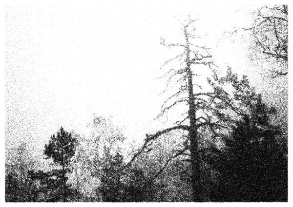 Nikolas Theilgaard, Winterberg 4, 2008