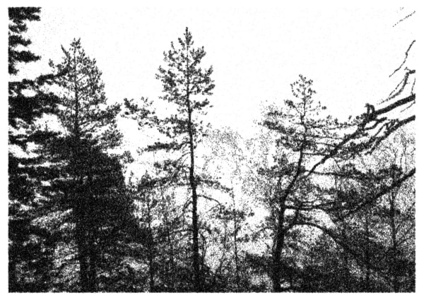 Nikolas Theilgaard, Winterberg 3, 2008