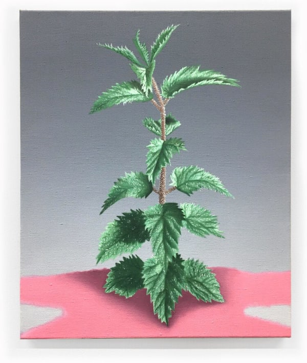 Jane Hayes Greenwood, Stinger, 2019