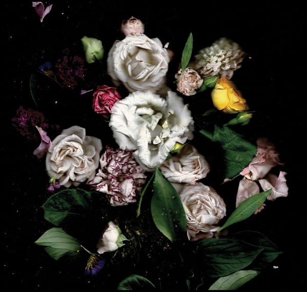 Vittoria Piscitelli - Still_Life_Scan #32, 2022