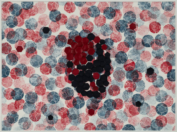 Marco Adamo, Omaggio al Bologna Calcio, 2024