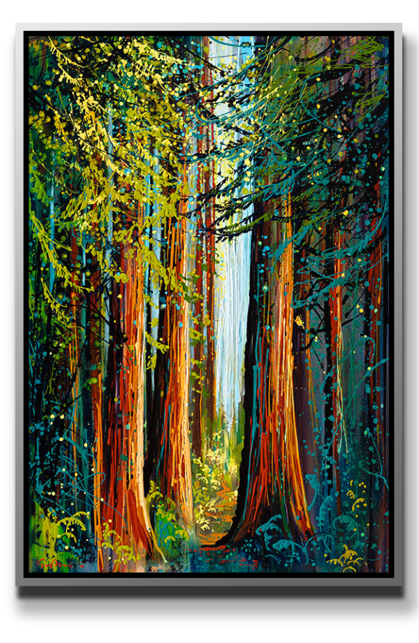 Simon Bull, Redwoods, 2024