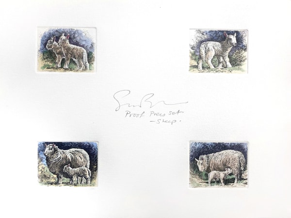 Simon Bull, Sheep and Lambs (Proof Set), 2008
