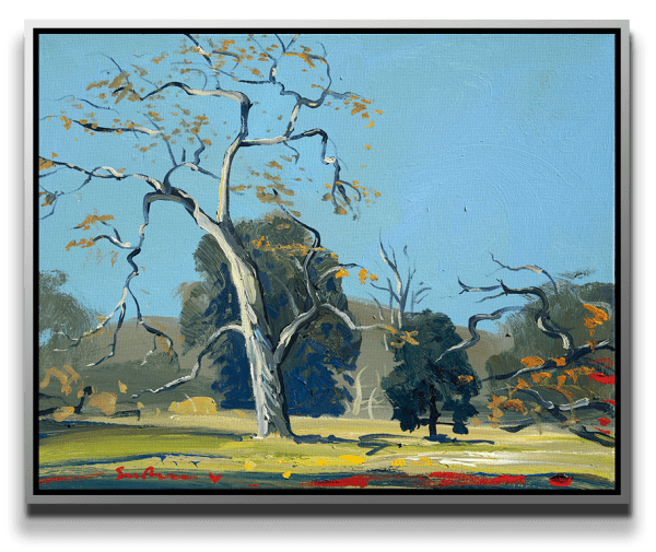 Simon Bull, Cottonwoods, 2022