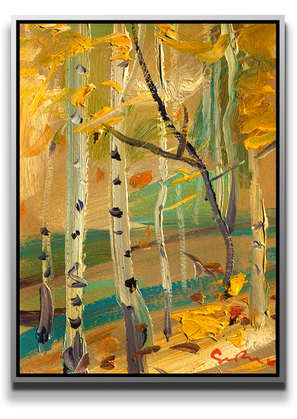 Simon Bull, Colorado Field Trip 2023 - VII, 2023