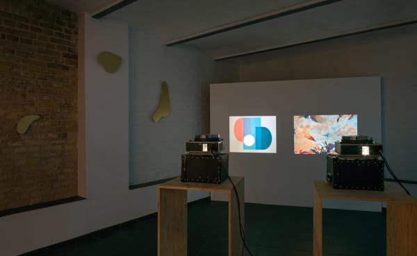 Birds of Paradise (Installation), 2021