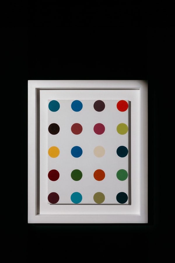 Damien Hirst, Chlormadinone Acetate | 醋酸氯地孕酮, 2002
