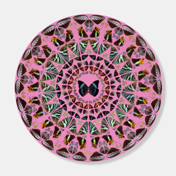 Damien Hirst, Psalm 142: Voce mea ad Dominum | 诗篇 142:主宰之声, 2008