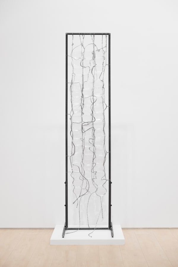 张文怡, 鸟浴 ｜Bird Bath, 2025