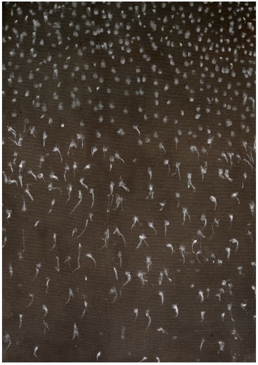 donna Kukama, And then we dreamt of a million uprisings and downfalls, 2018