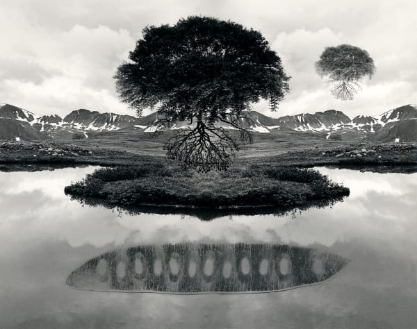 Archival Inkjet Print of slate gray gallery artist Jerry Uelsmann's Floating Tree
