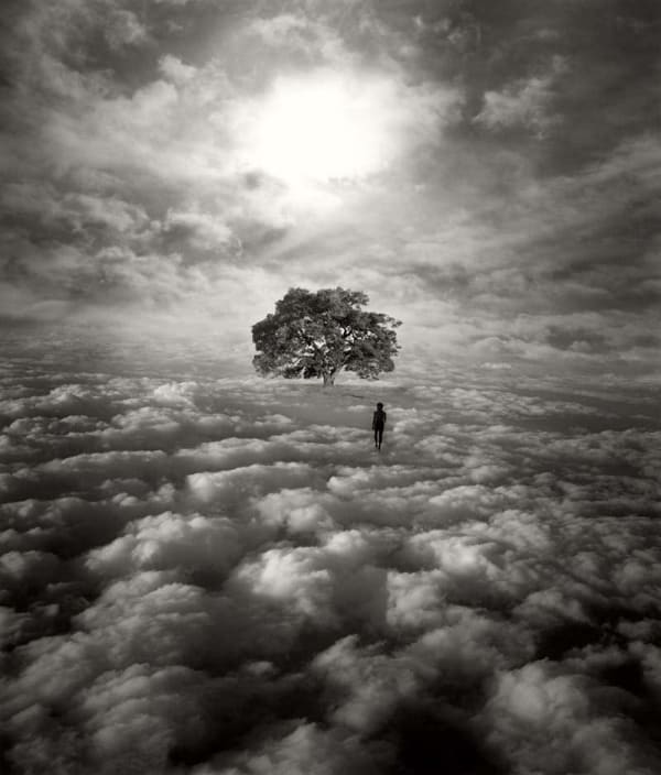 Jerry Uelsmann, The Alpha Tree, 2002