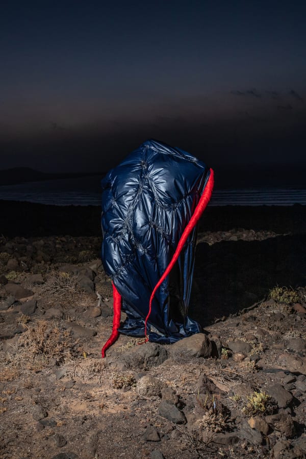 Esther van der Heijden and Nosh Neneh, Living Monuments of The Deep - Syngnathus Watermeyeri, 2023