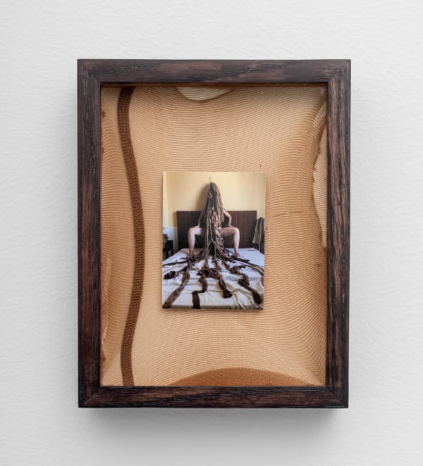 Dyana Gravina, Spider love series #1, 2025