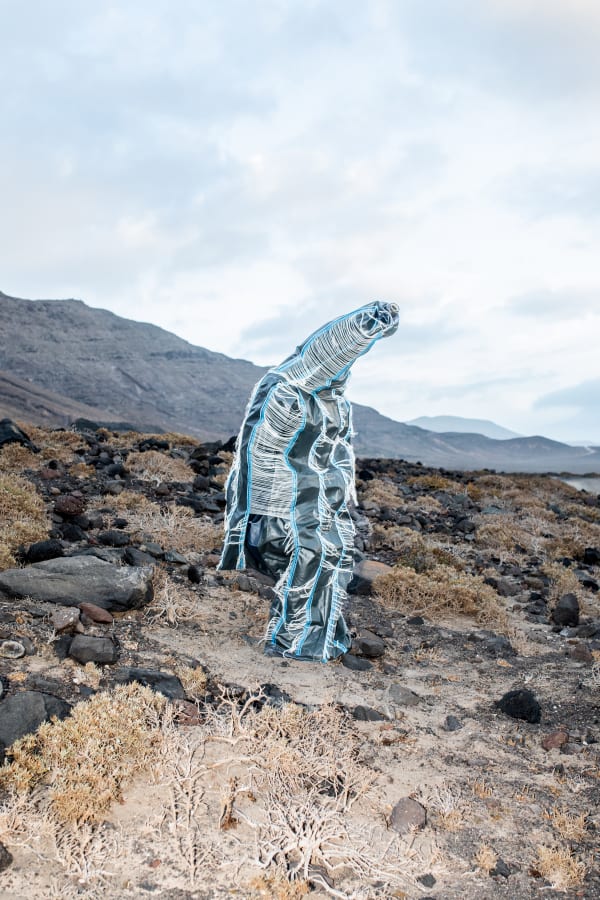 Esther van der Heijden and Nosh Neneh, Living Monuments of The Deep - Chrysomallon Squamiferum, 2023