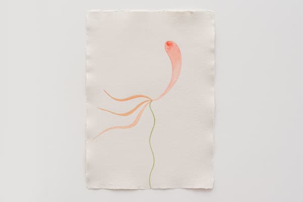 Ingrid Berthon-Moine, Second Cycle? (Swag), 2024