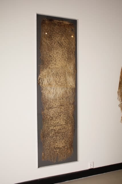 Diana Scherer, Exercises in Rootsystem Domestication I, 2020