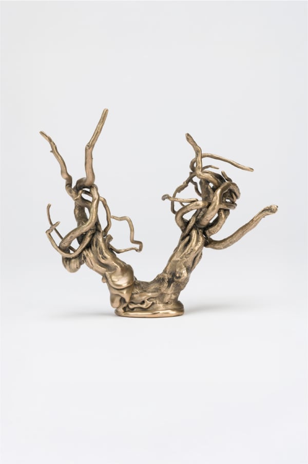Bronze Root v