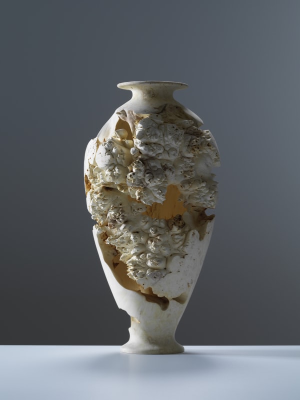 Eleanor Lakelin, Echoes of Amphora: I/19, 2019