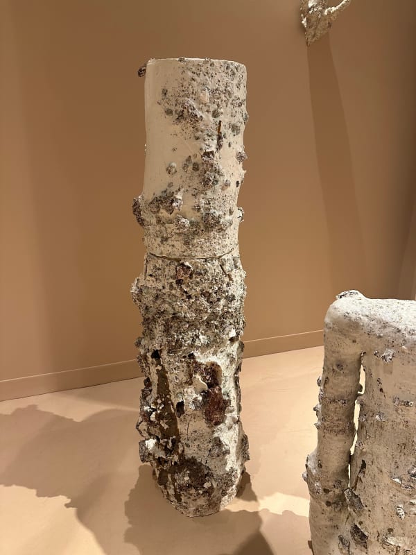 Aneta Regel, Volcanic Totem-3, 2024