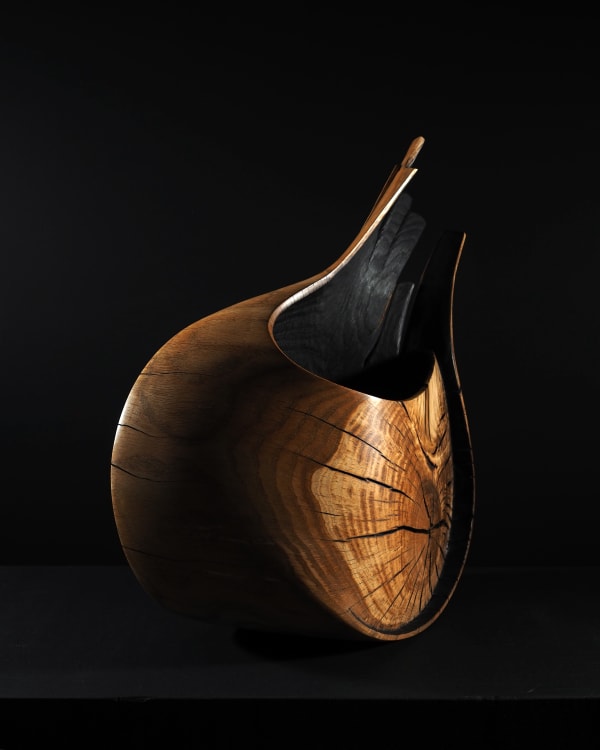Nic Webb, Koru III, 2020
