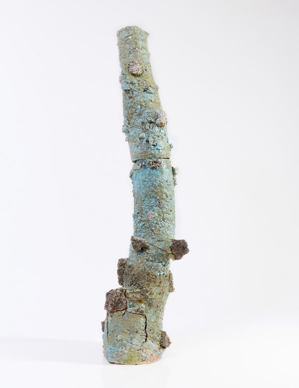 Aneta Regel, Volcanic Totem 9 Pien, 2023
