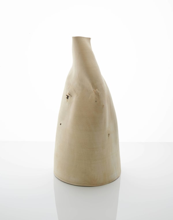 Ernst Gamperl, 63/2019/120, 2019