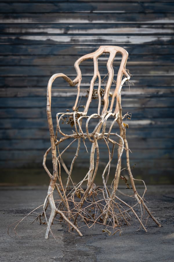 The Daphne Chair