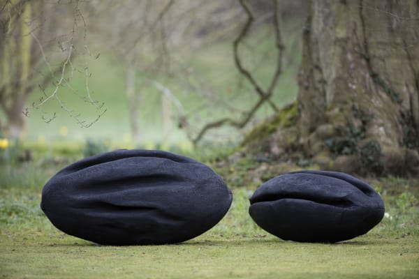 Alison Crowther, Charred Pod I (large), 2017