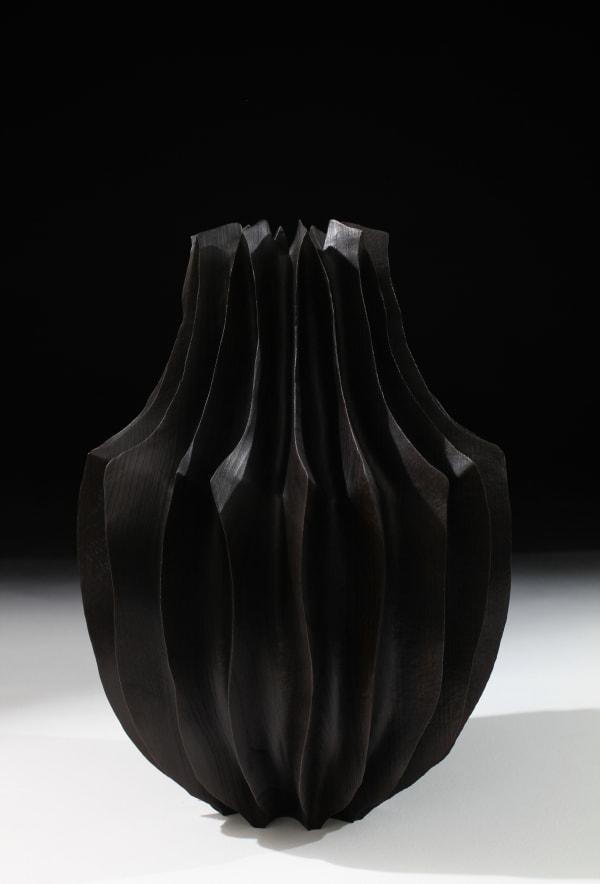 Marc Ricourt, 06 Beech C19, 2019