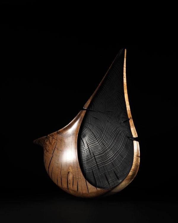 Nic Webb, Ark, 2019