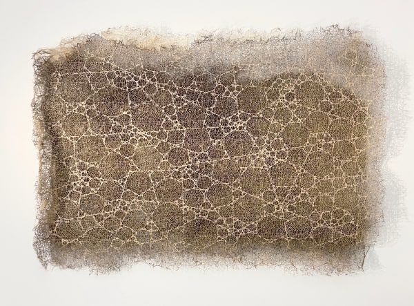 Hyper Rhizome #2-5-24