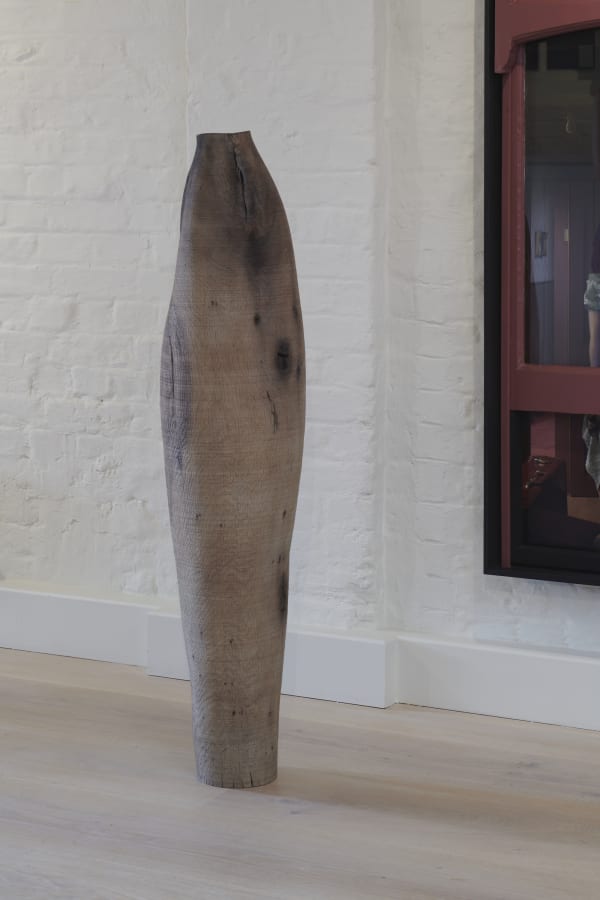 Ernst Gamperl, 60/2019/160, 2019