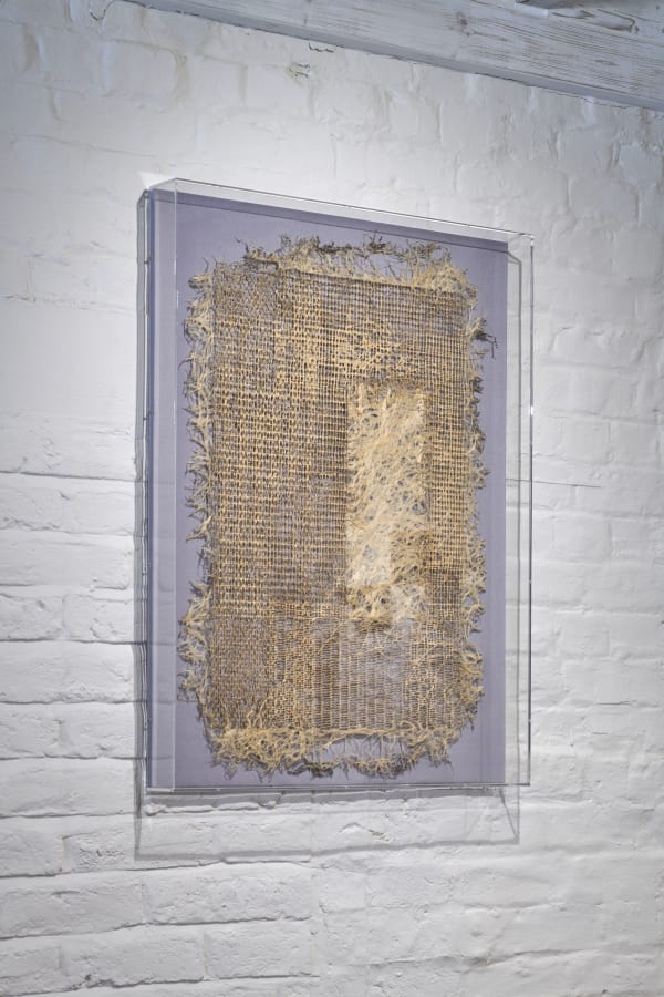 Diana Scherer, Exercises in Rootsystem Domestication II, 2020
