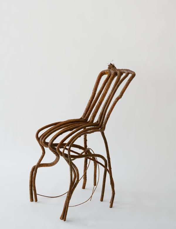 Full Grown The Goodall Chair, 2021 Acquired by The Nelson-Atkins Museum of Art Salix viminalis (Willow) 100 H x 55 W x 55 D cm 39.3 H x 21.6 W x 21.6 D in