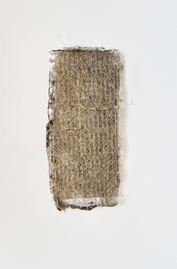 Hyper Rhizome 12-2024