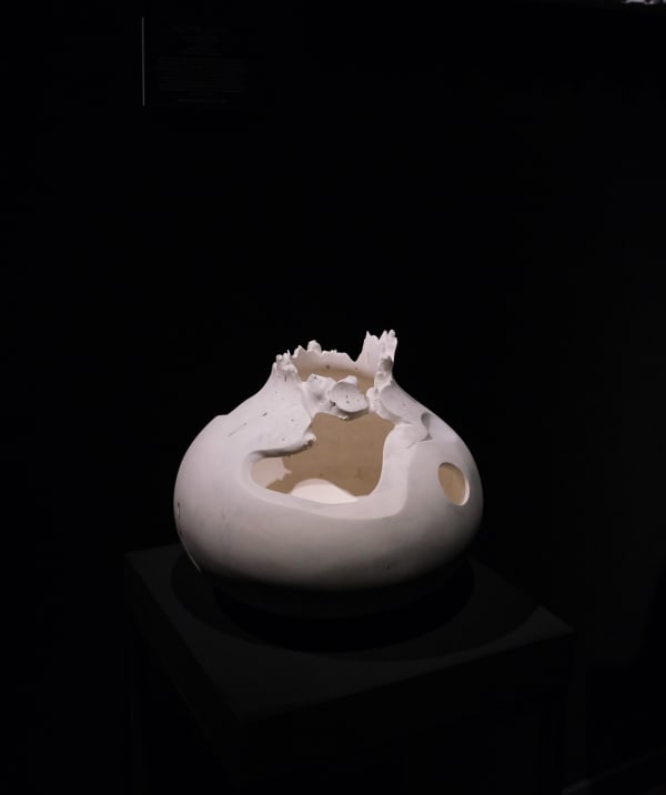 Voided Vessel #5