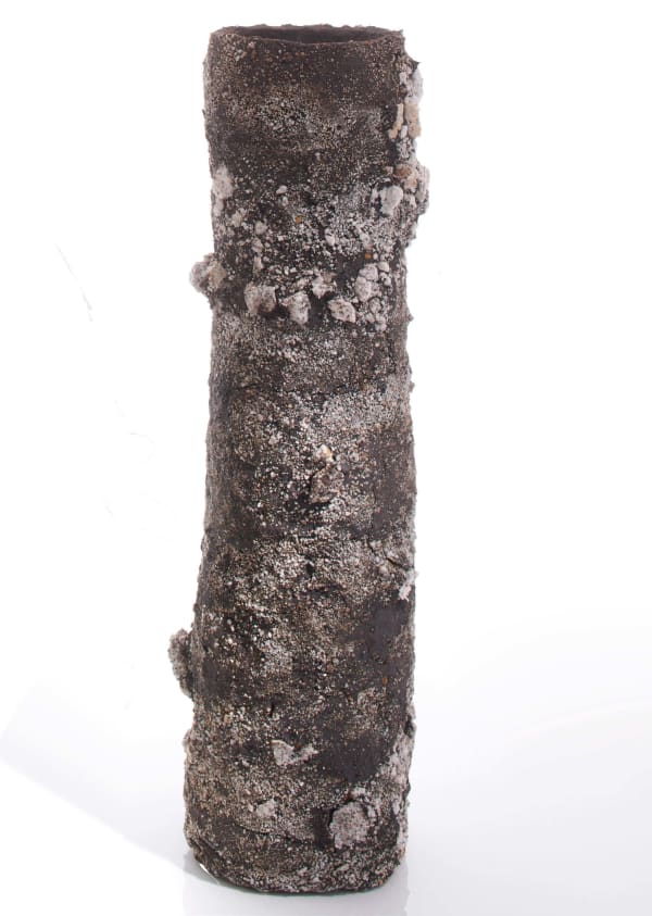 Aneta Regel, Volcanic Totem 5 Pien, 2023