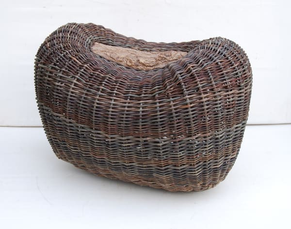 Joe Hogan, A Pod On Old Willow Wood, 2020