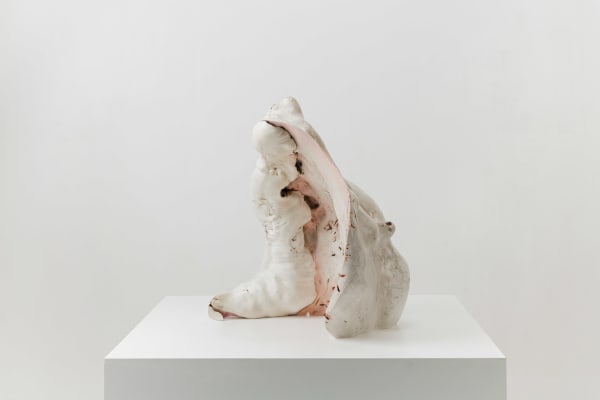 Julian Watts, Shell , 2022