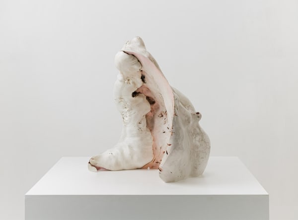 Julian Watts, Shell , 2022