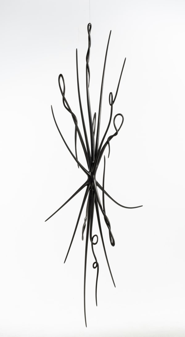 Christopher Kurtz, Ascender, 2019