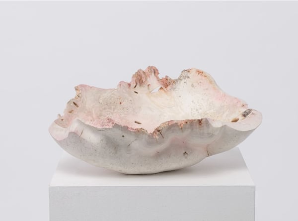 Julian Watts, Bowl, 2022